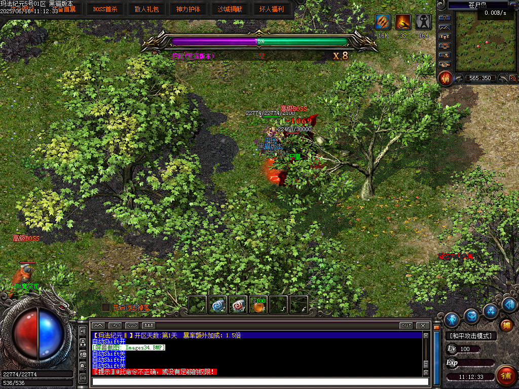 Images35.BMP