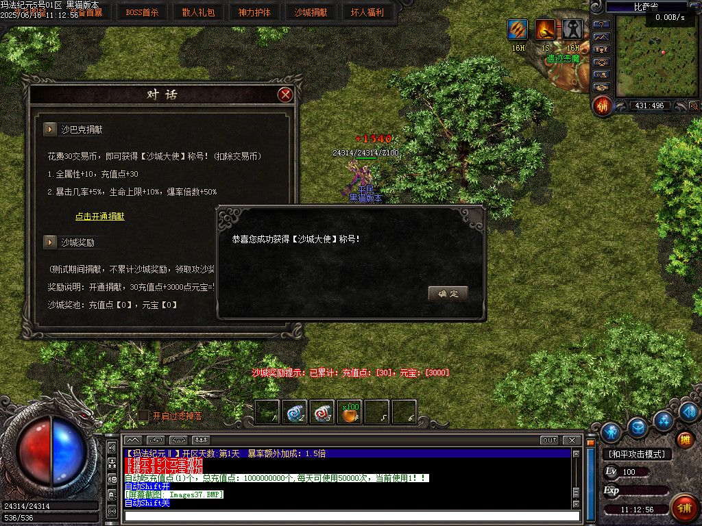 Images38.BMP