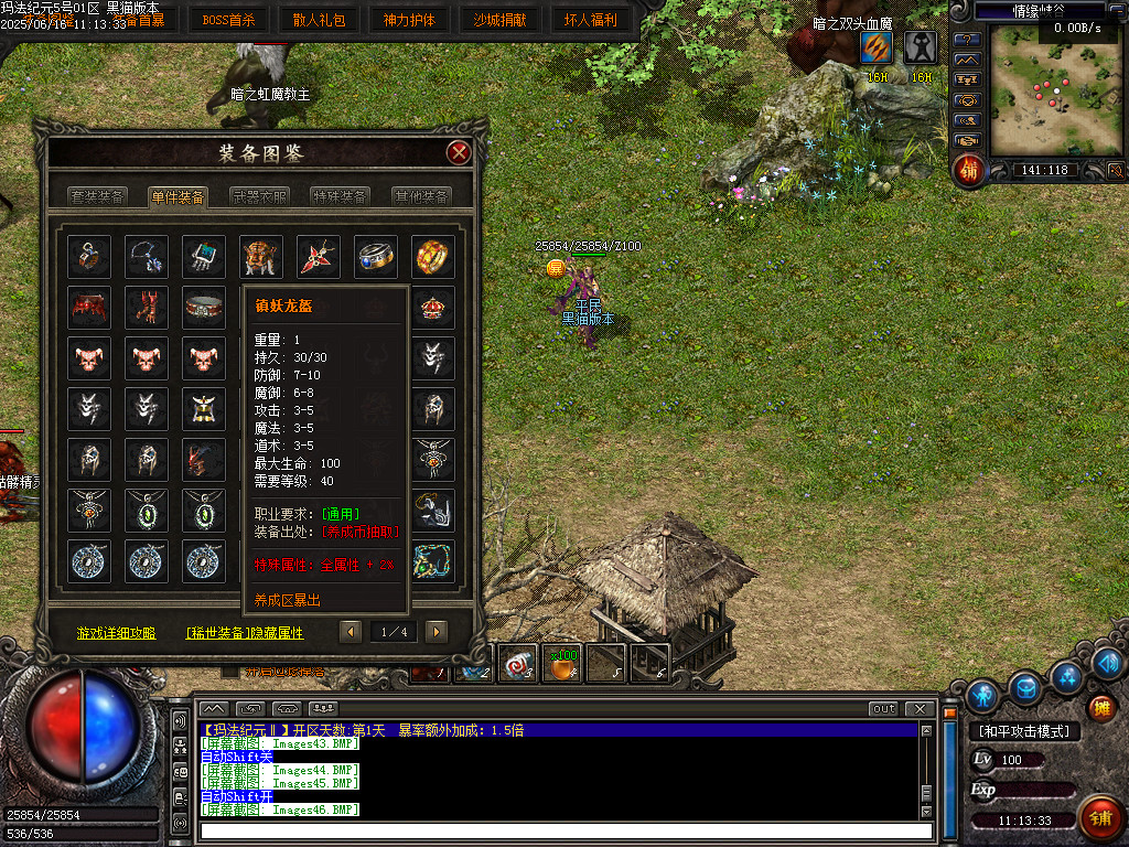 Images47.BMP