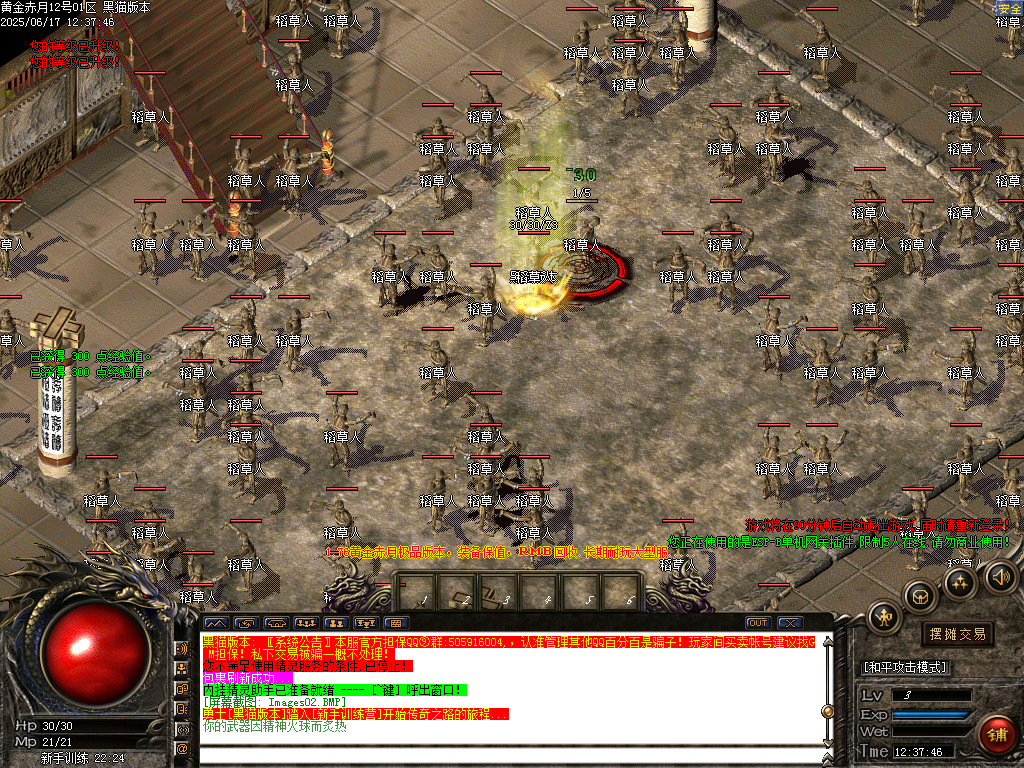Images03.BMP