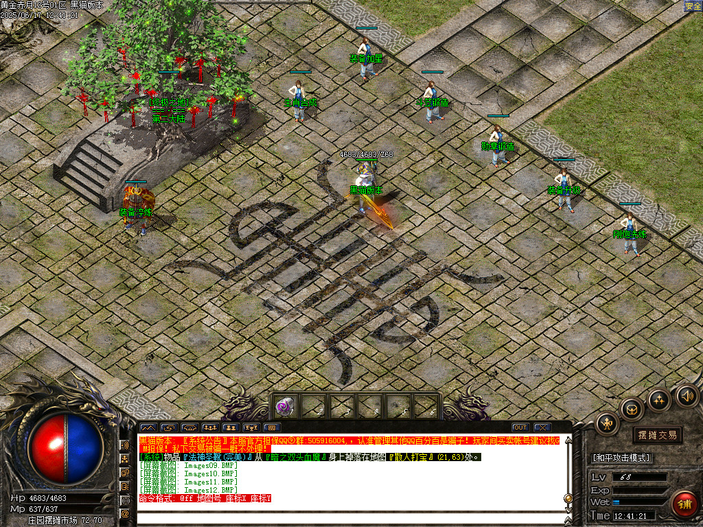 Images13.BMP
