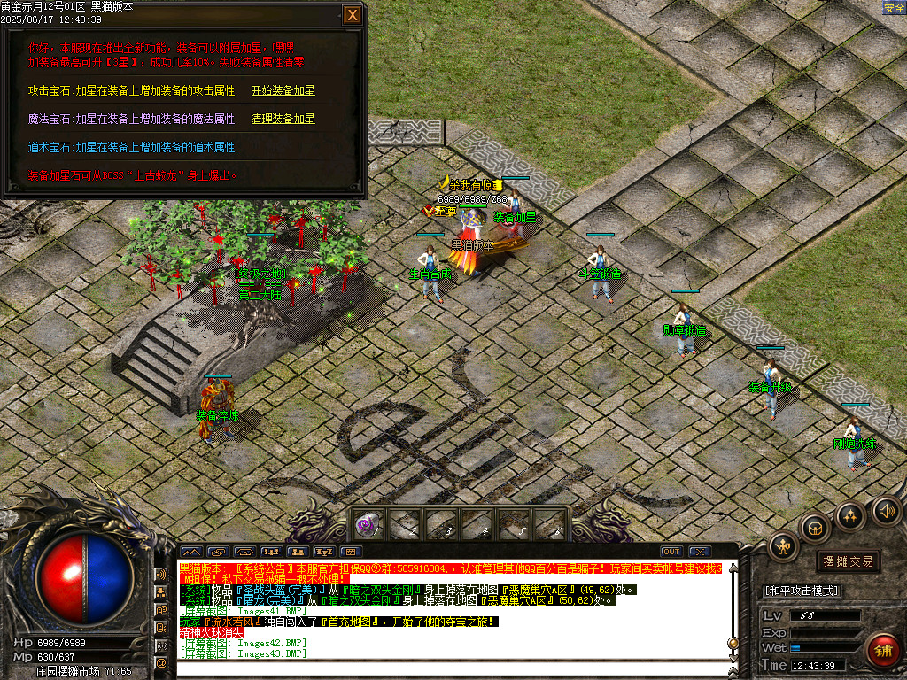 Images44.BMP