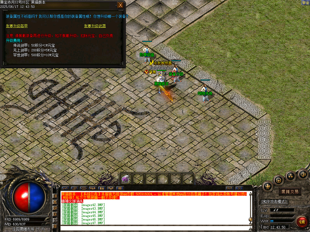 Images48.BMP