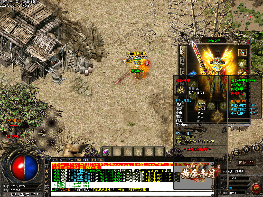 Images63.BMP