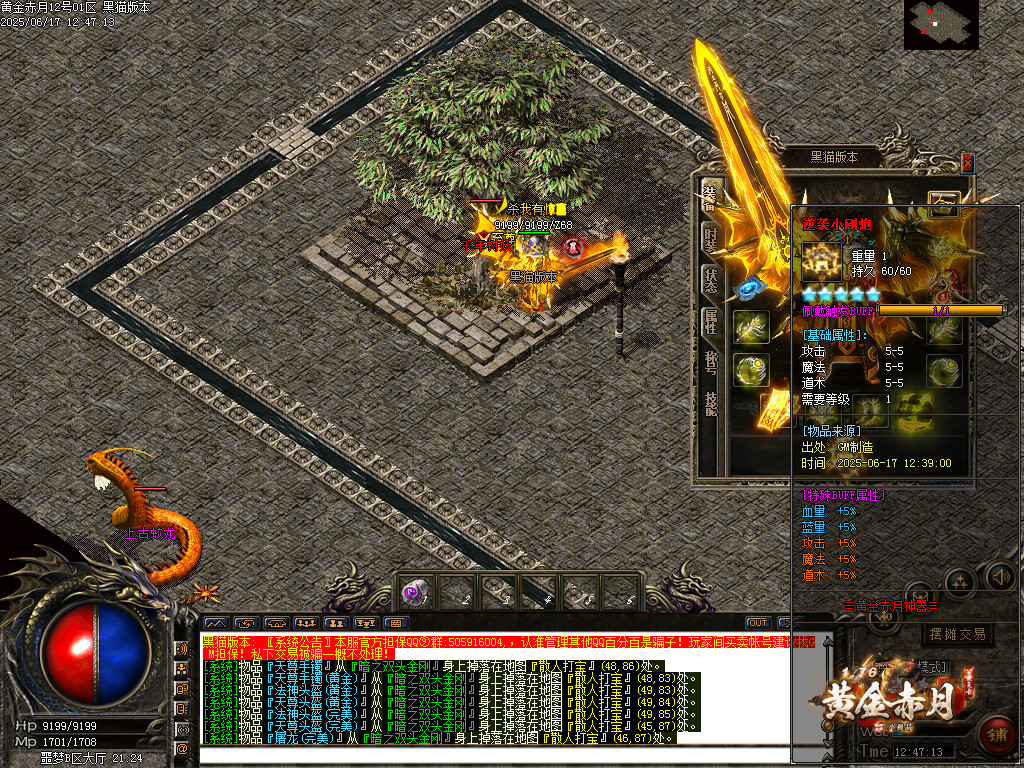 Images74.BMP