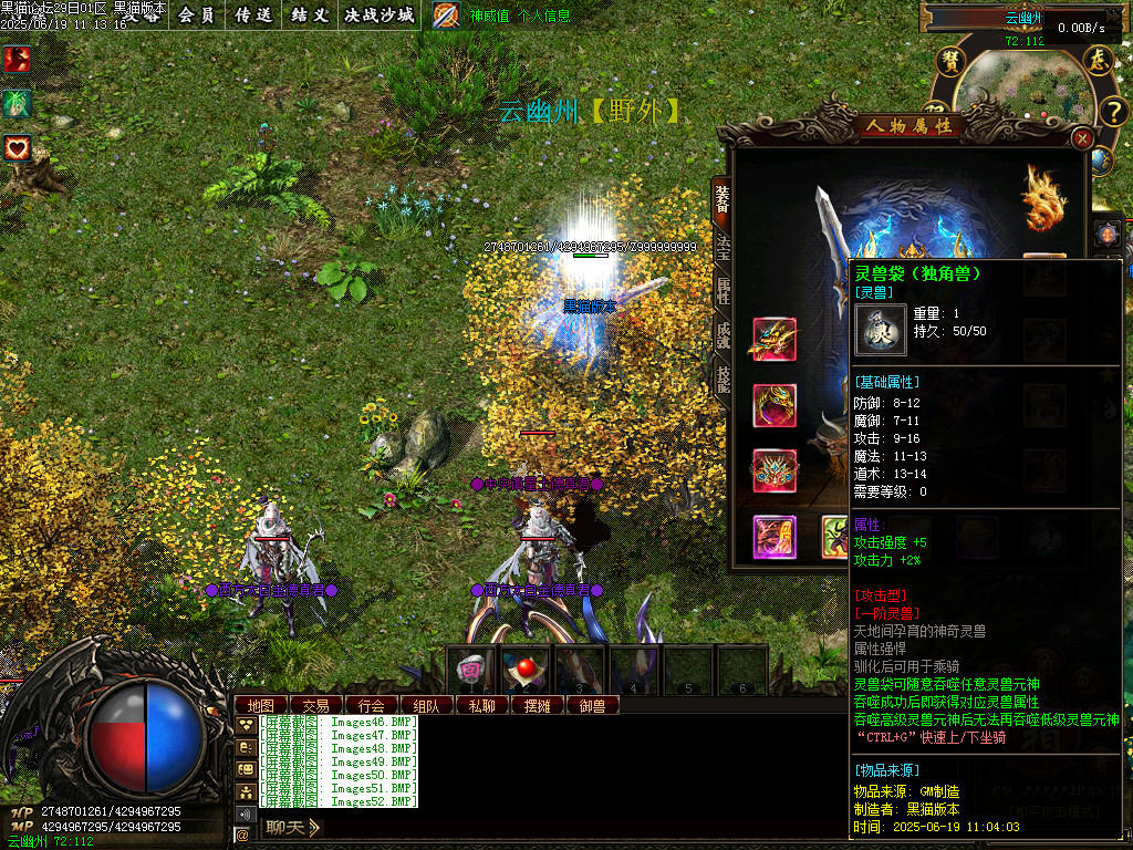 Images53.BMP