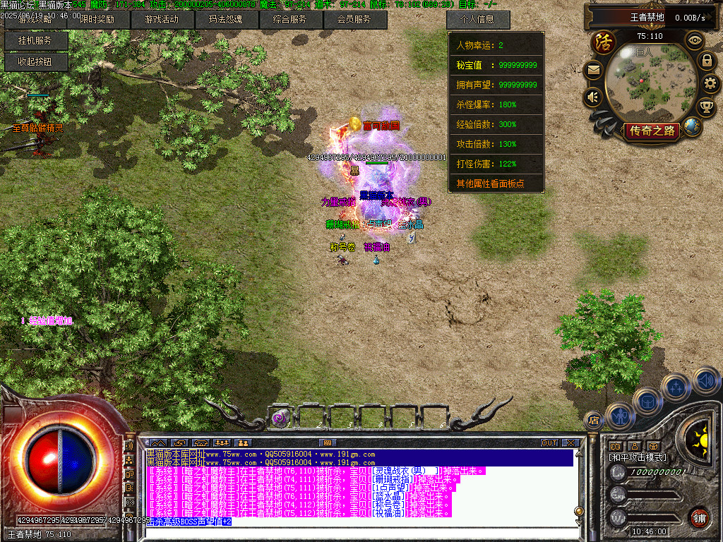 Images65.BMP