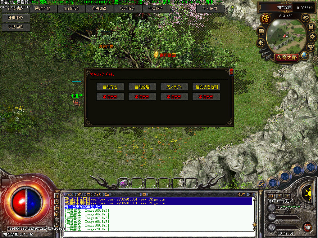 Images71.BMP