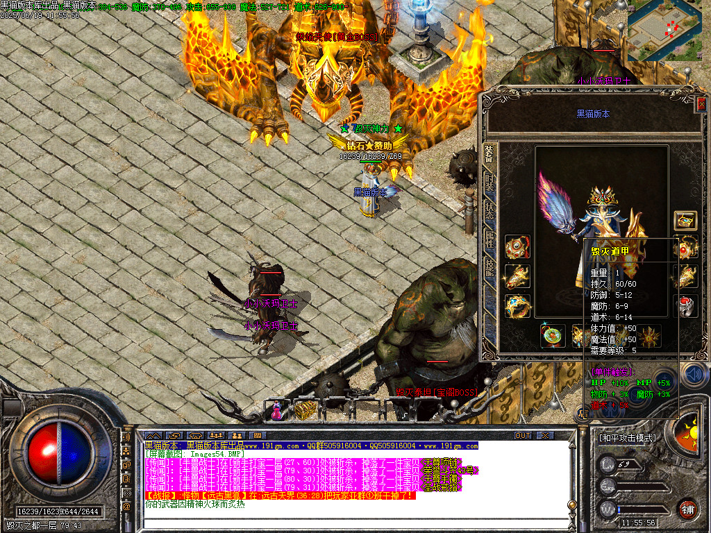 Images55.BMP