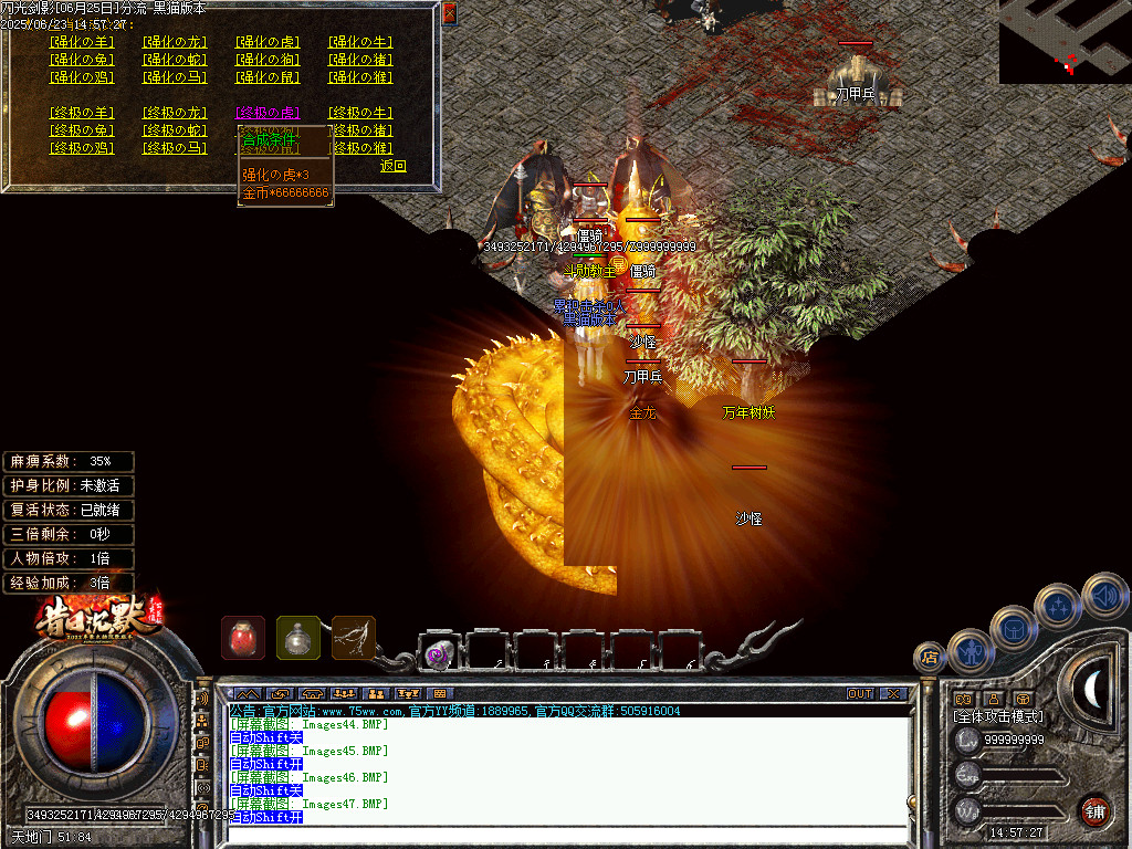 Images48.BMP