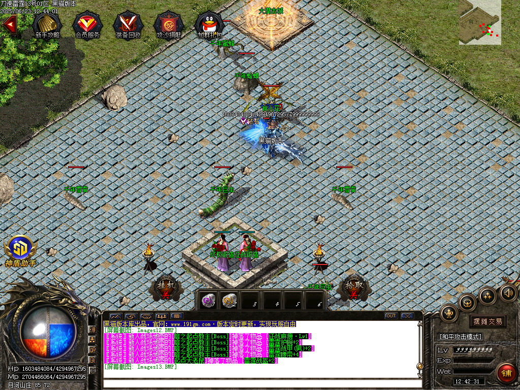 Images14.BMP