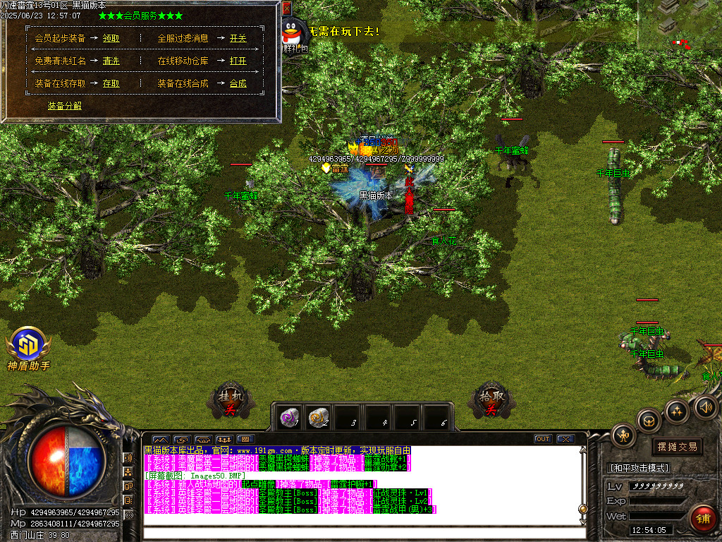 Images51.BMP