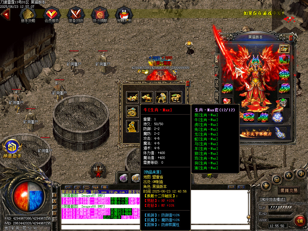 Images69.BMP