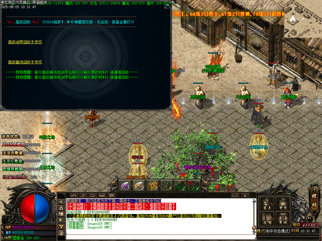 Images31.BMP