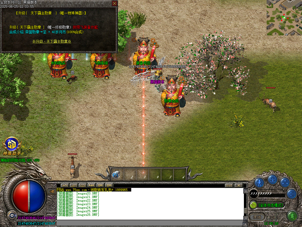 Images27.BMP