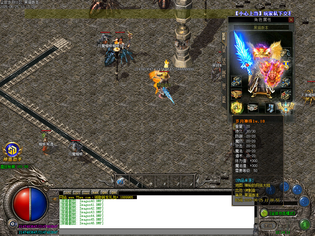 Images47.BMP