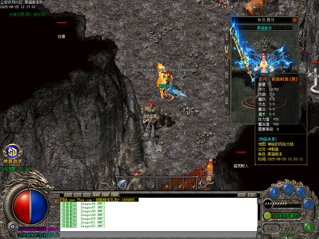 Images53.BMP