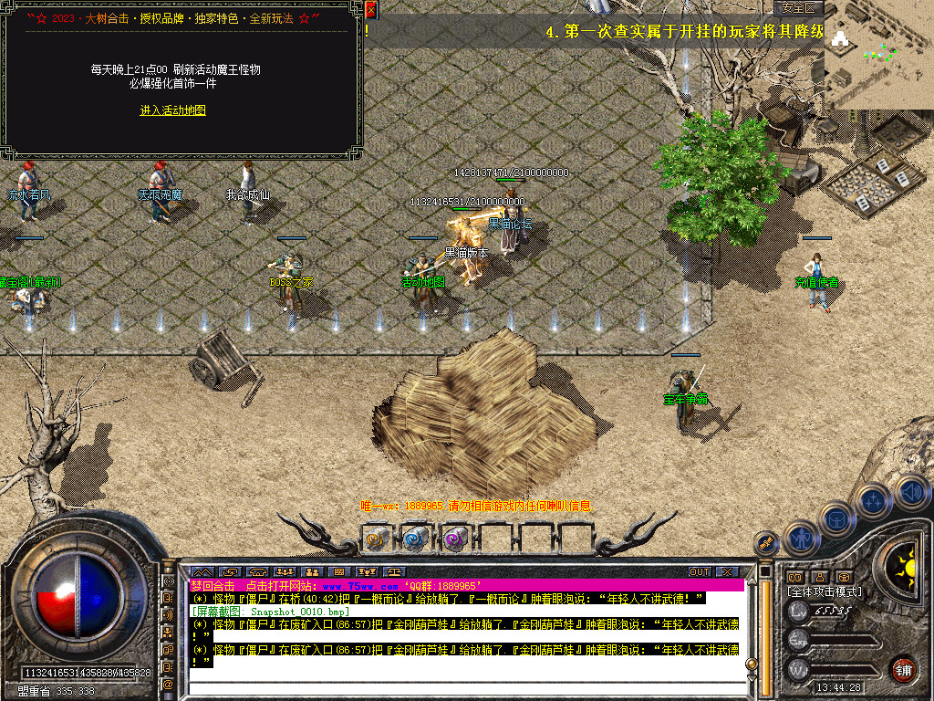 Snapshot_0011.bmp