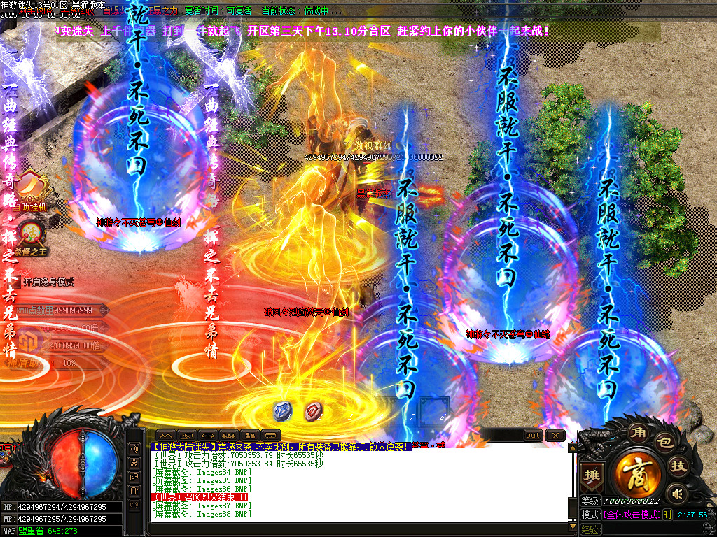Images89.BMP