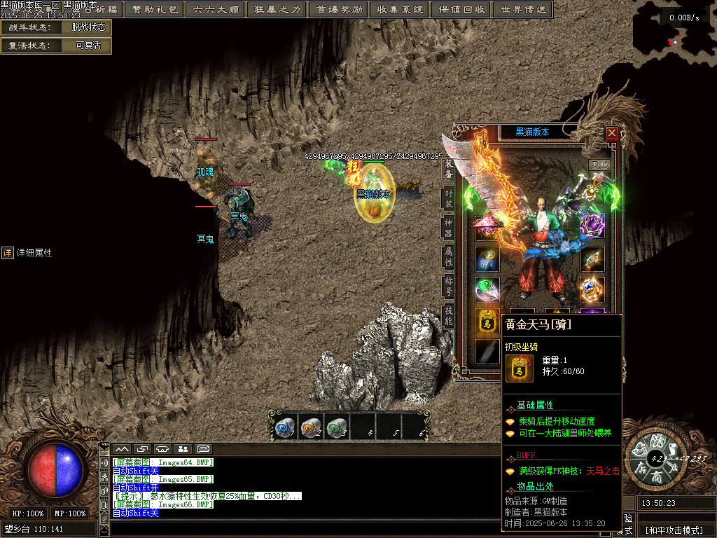Images67.BMP