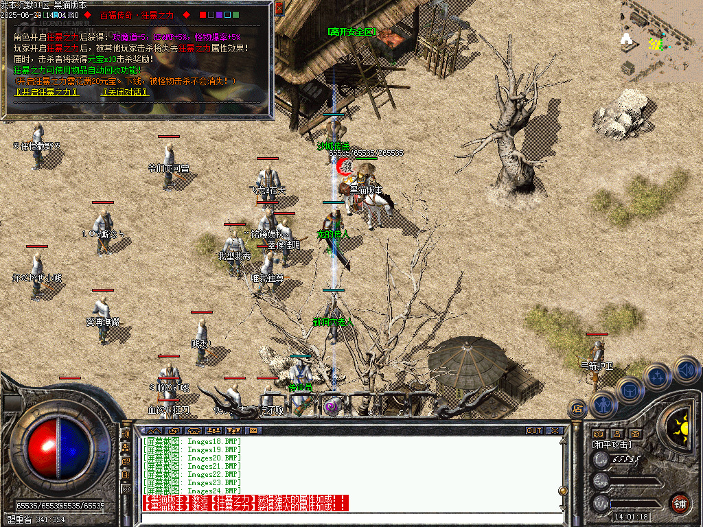 Images25.BMP