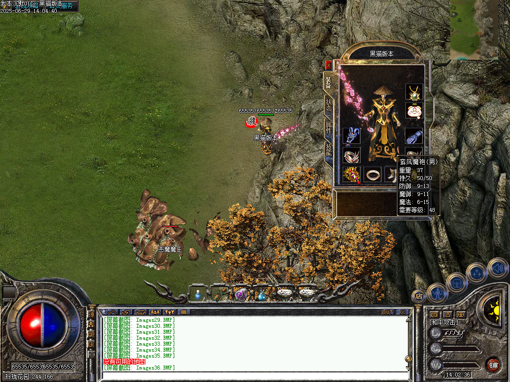Images37.BMP
