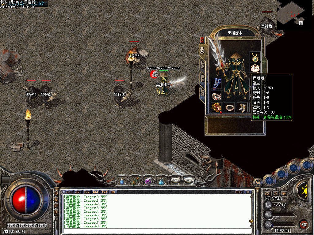 Images49.BMP