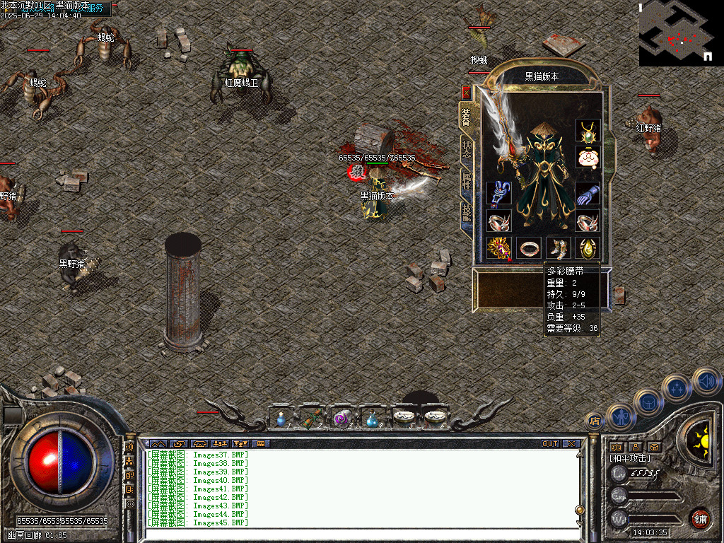 Images46.BMP