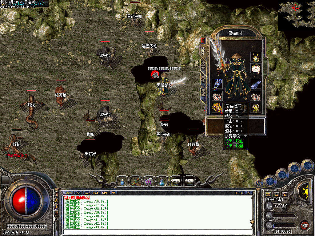Images44.BMP