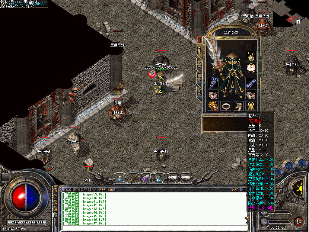 Images48.BMP