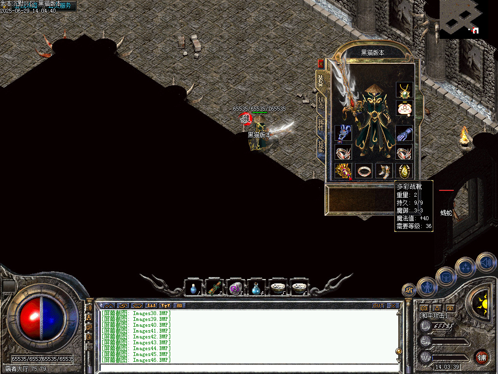 Images47.BMP