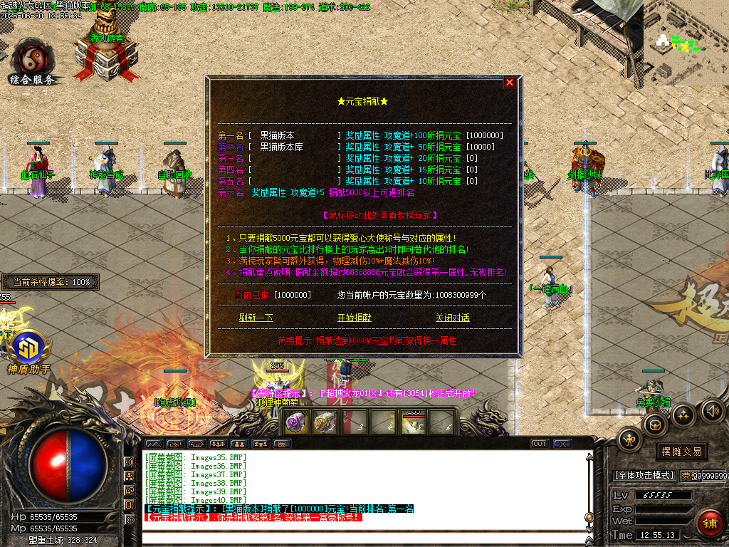 Images41.BMP