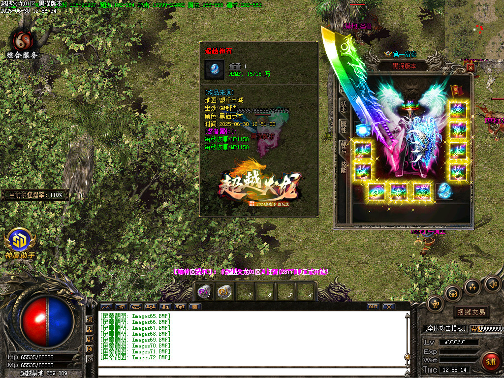 Images73.BMP