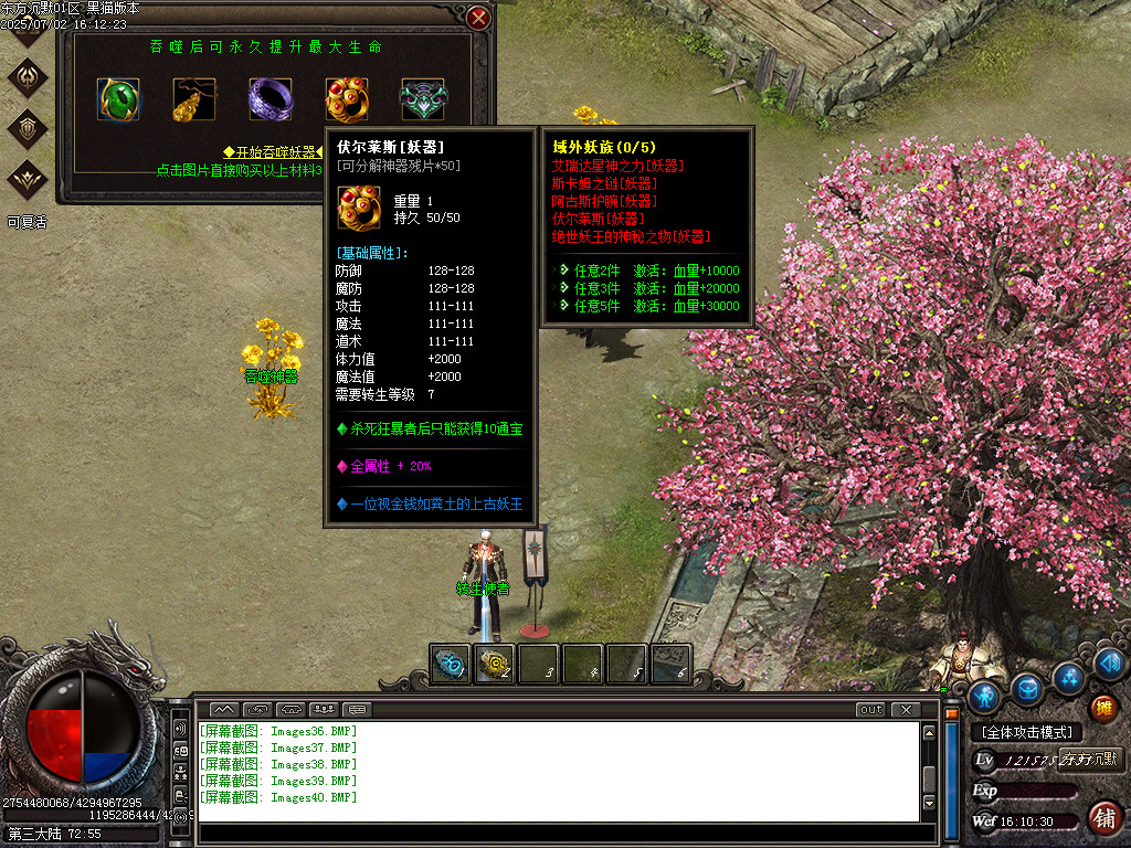 Images41.BMP