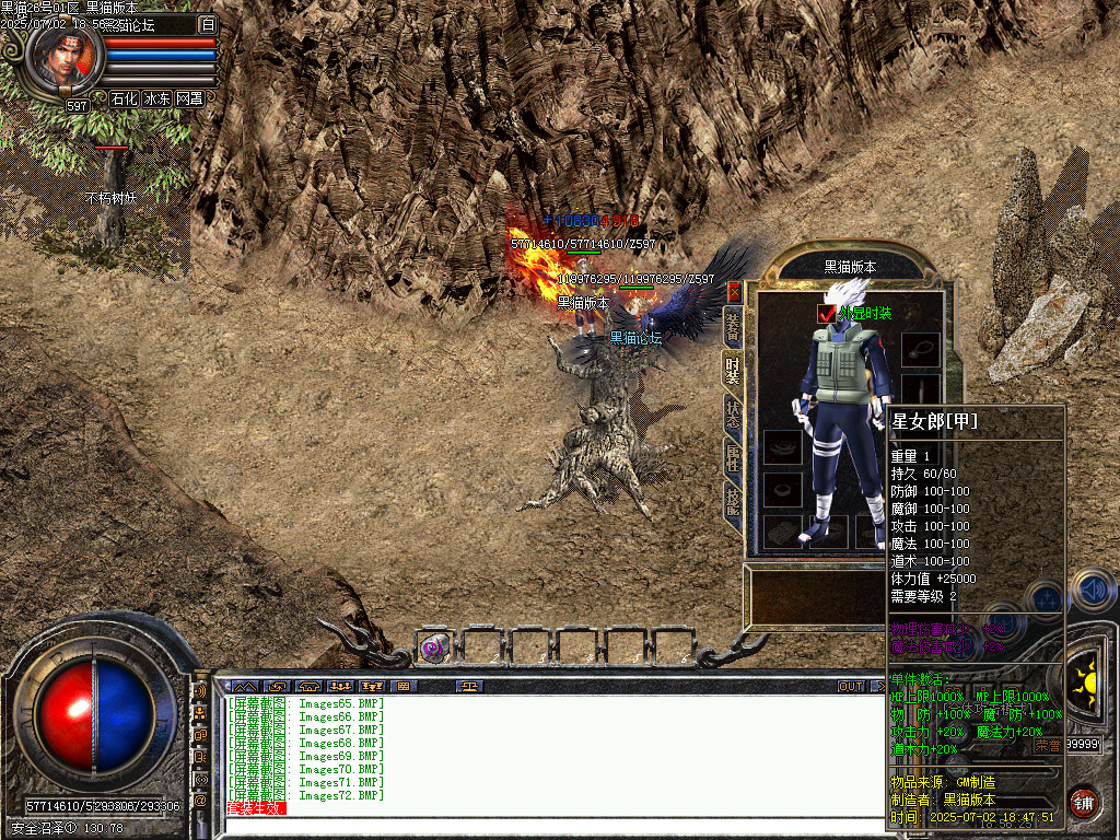 Images73.BMP