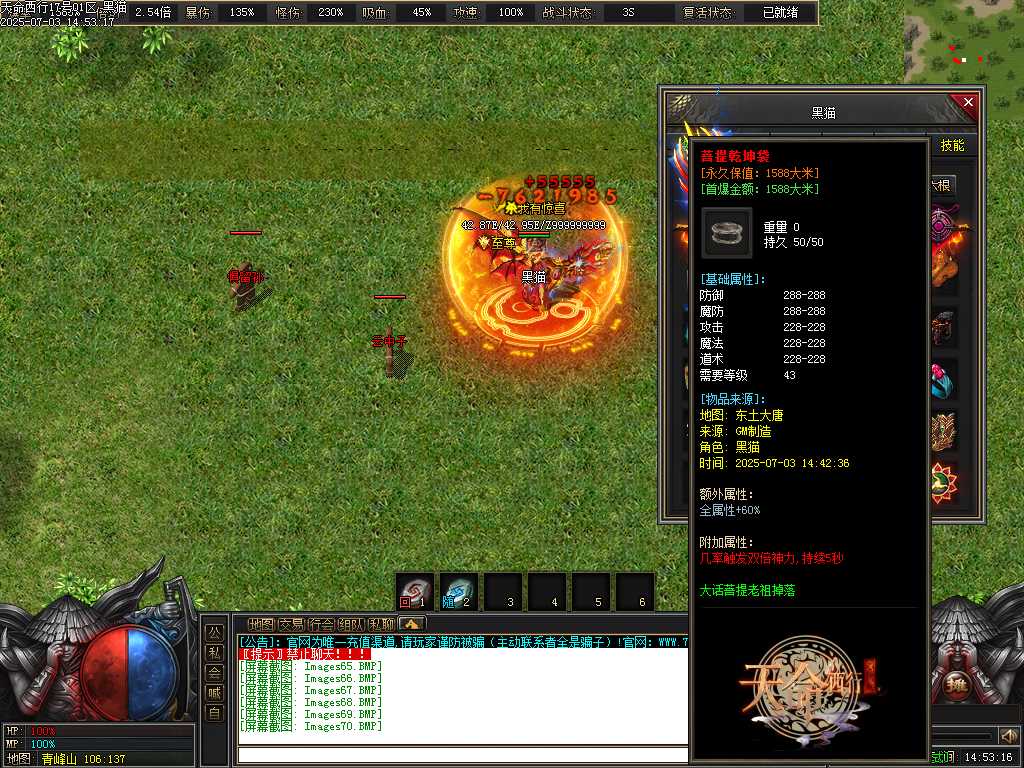 Images71.BMP