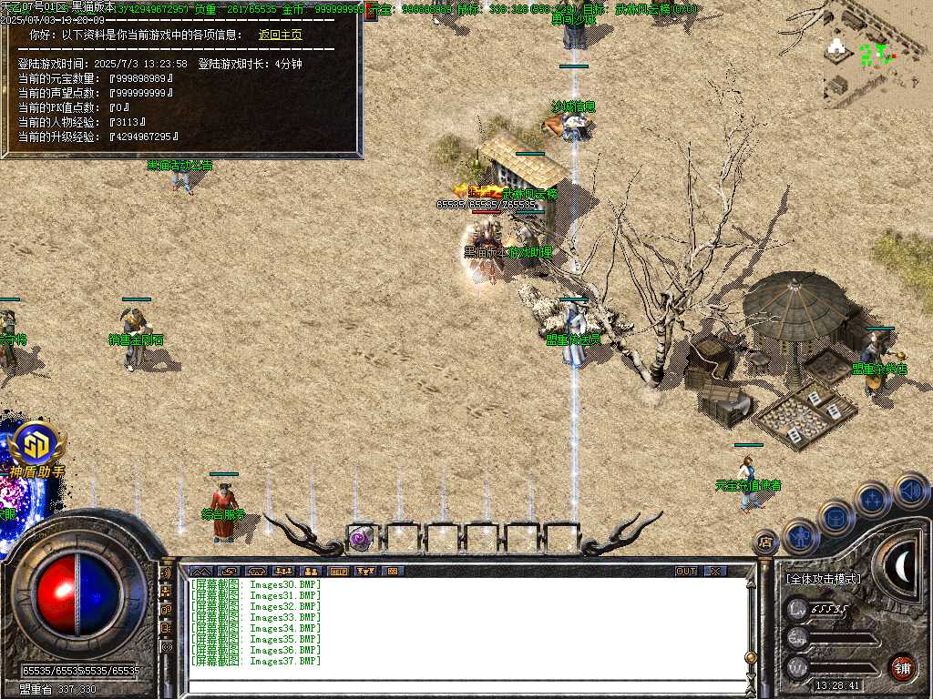 Images38.BMP