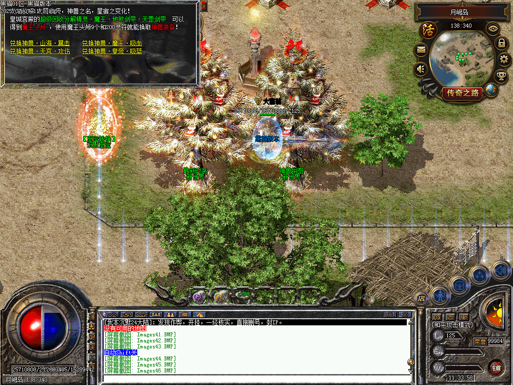 Images47.BMP