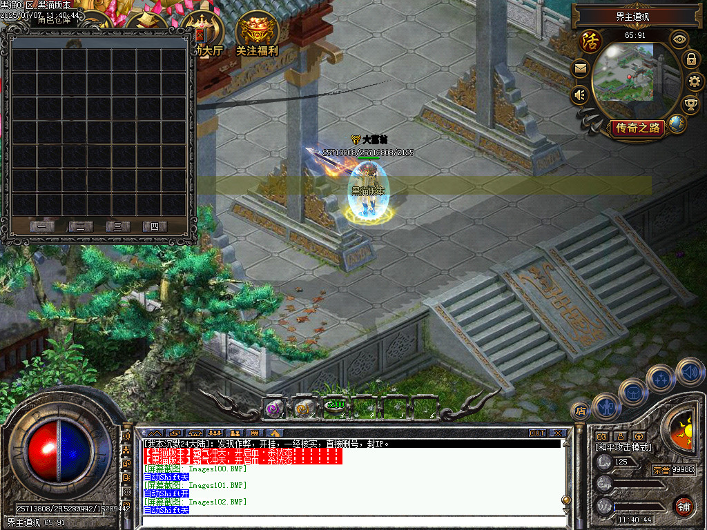 Images103.BMP