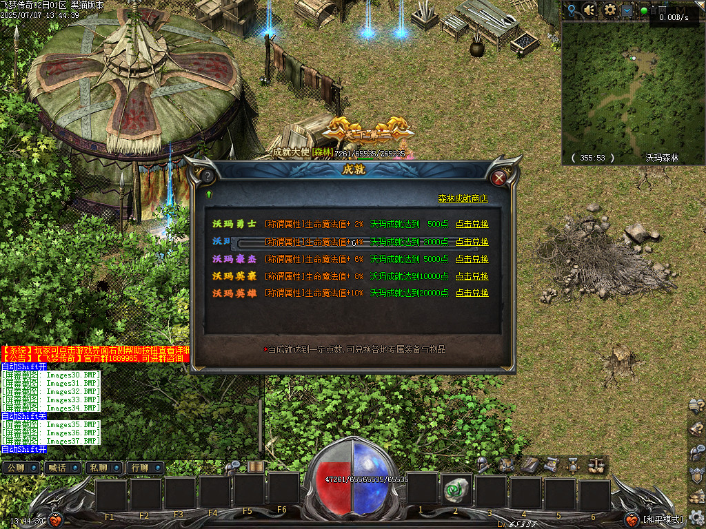 Images38.BMP