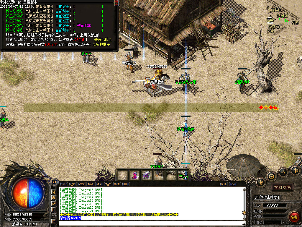 Images22.BMP
