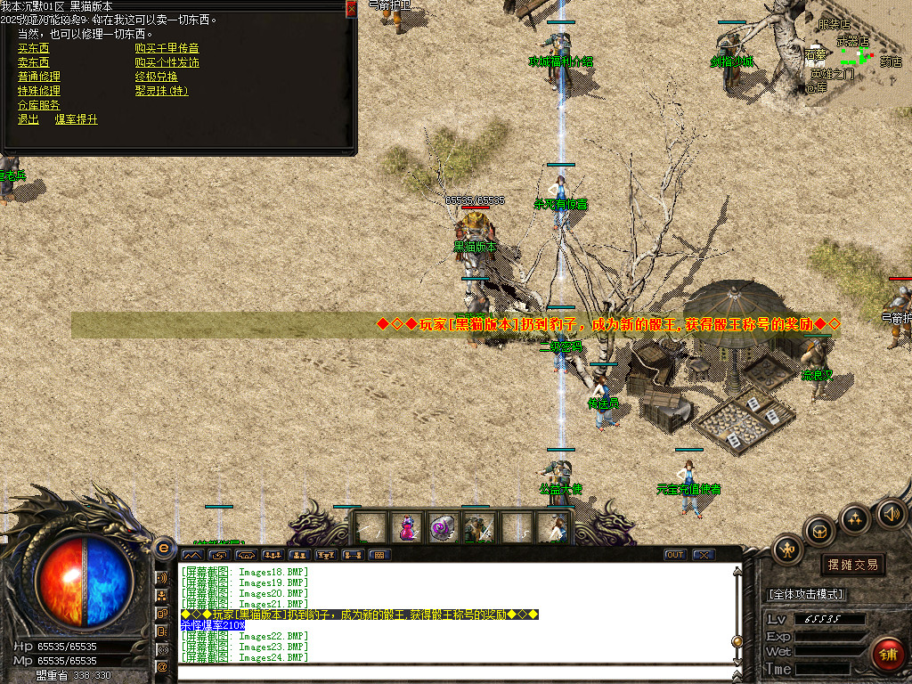 Images25.BMP