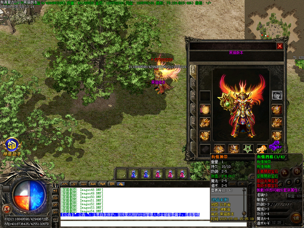 Images55.BMP