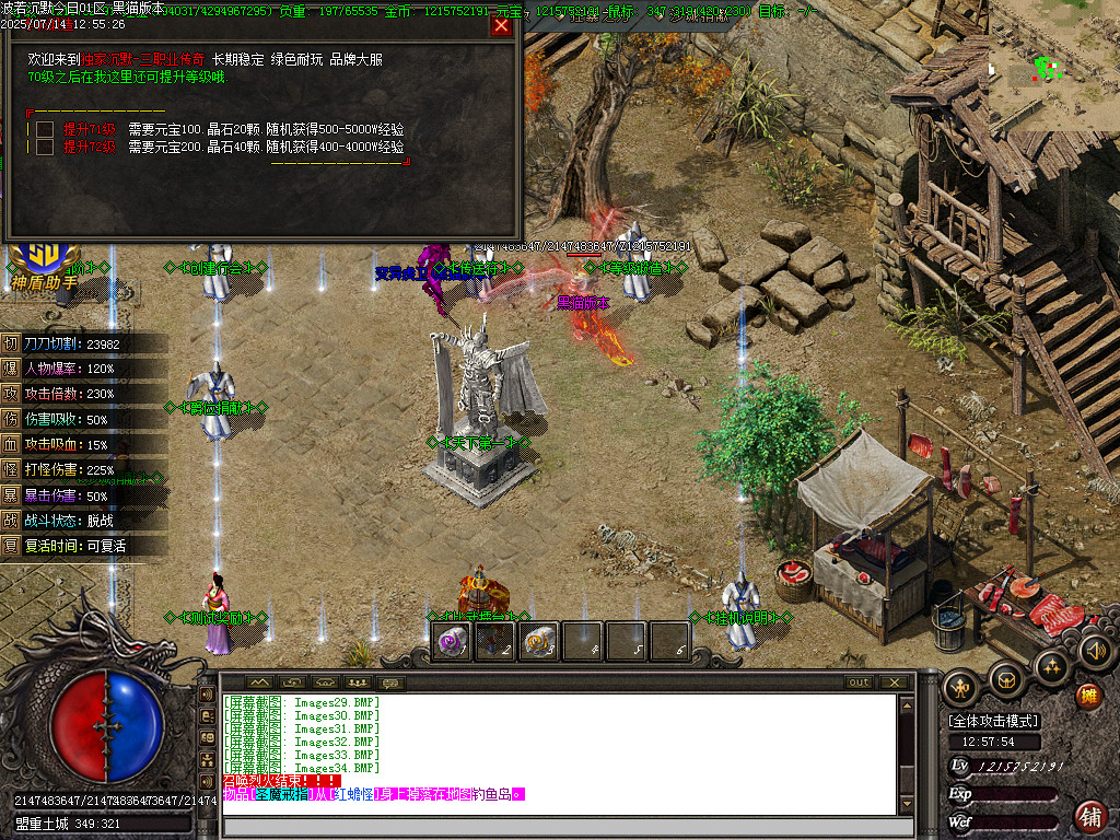 Images35.BMP