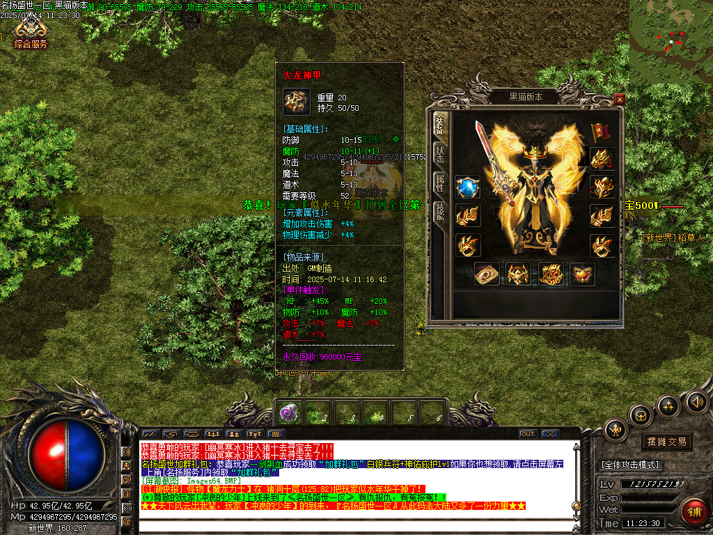 Images65.BMP