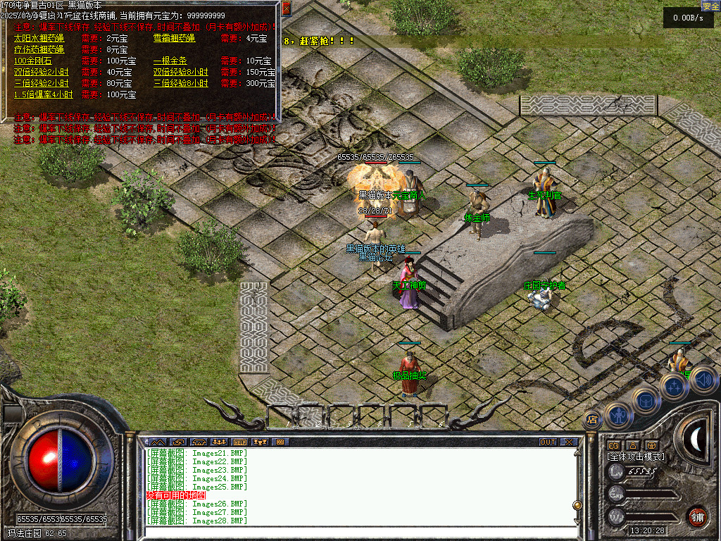 Images29.BMP