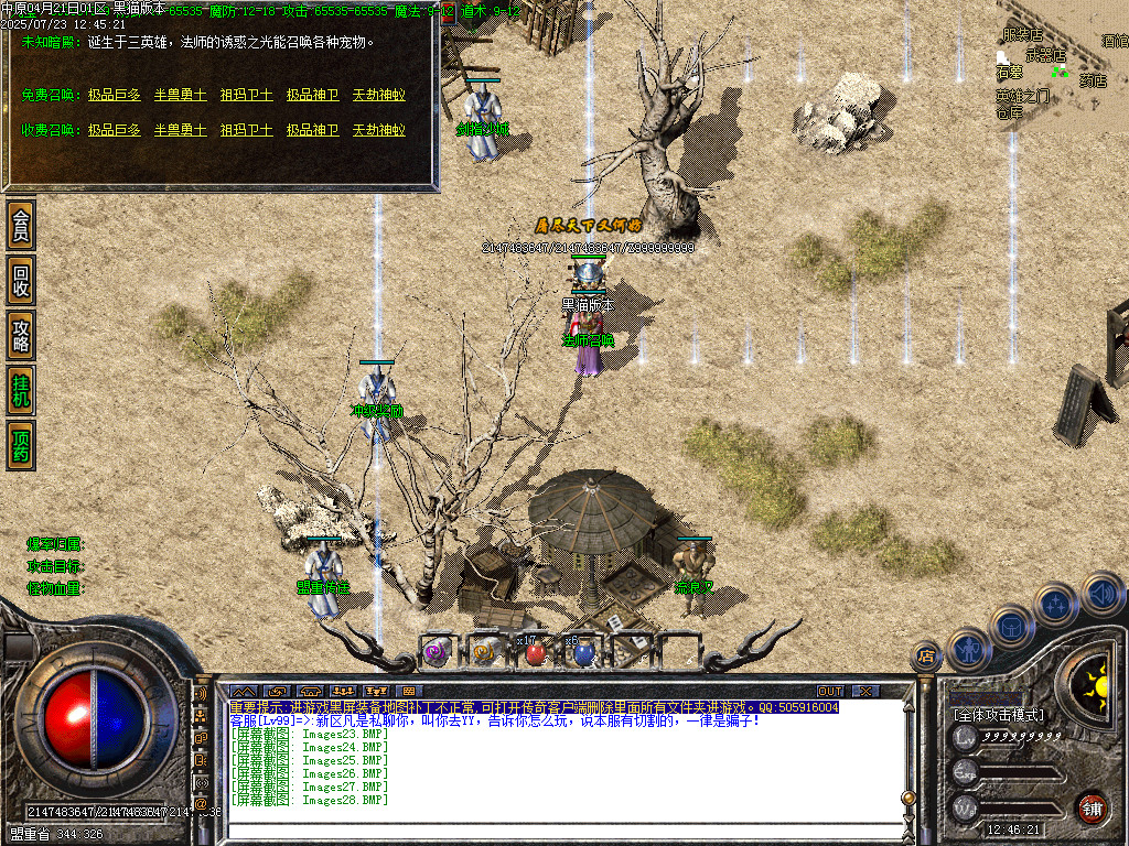 Images29.BMP
