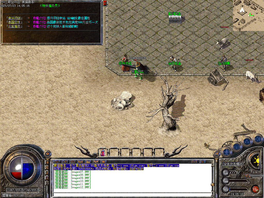 Images13.BMP