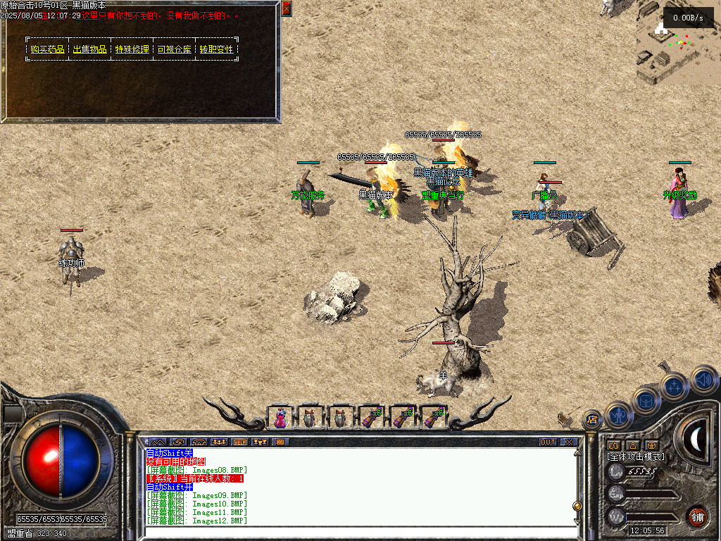 Images13.BMP