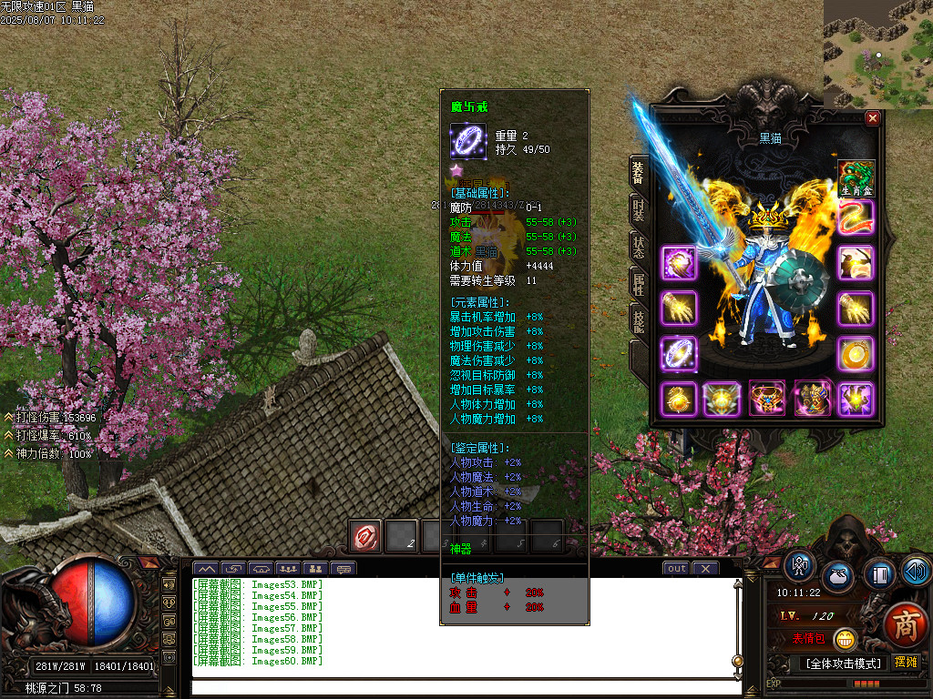 Images61.BMP
